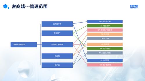 藥企客商域主數(shù)據(jù)管理實(shí)踐與挑戰(zhàn) 基于數(shù)據(jù)處理服務(wù)的視角