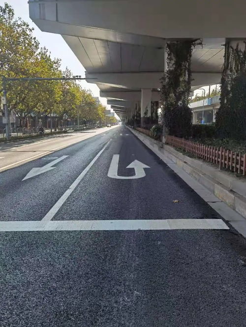 為民辦實事 寶山區7條道路變身精品示范路